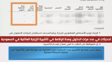 تعديلات جديدة.. القنصليات السعودية تغير قواعد التأشيرة العائلية وتحدد مدة الدخول للزوار